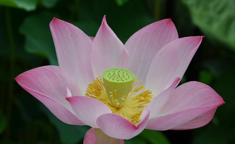 运势|明天开始，四生肖好运相伴，横财难挡，财利多见