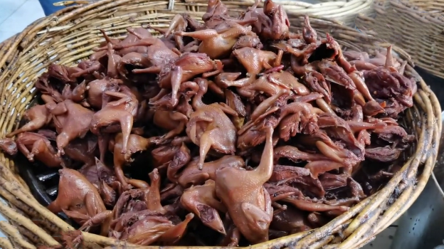 野味|大叔路边卖“野味”，8元一只，半天卖500只，邻摊：傻子才吃！