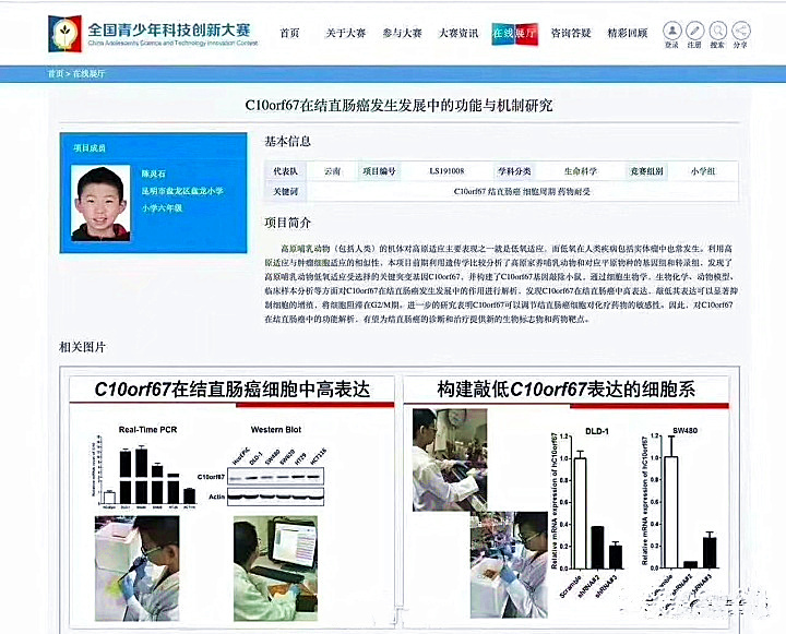 中小学|小学生做出了博士生水平的科研,且还获奖了,这背后有多悲哀!