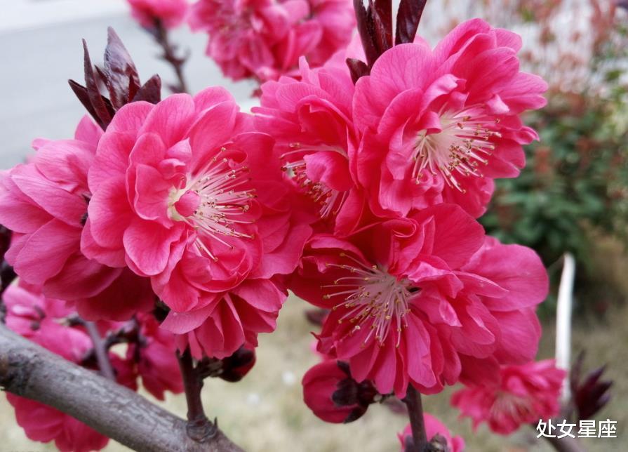 「」7月7号财星送财，有意外之财进账，3属相必有大喜挡不住