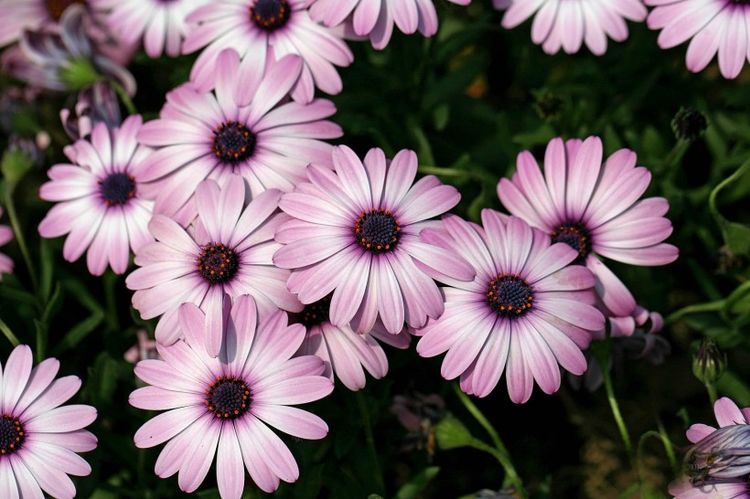 [生肖]别人穷，他们发！3生肖5月财库大开，豪气冲天，黄金万两！