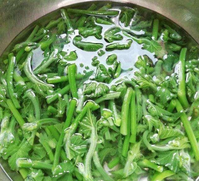 南瓜|7成人“忽略”这菜，是药还是菜，湿气消失了，胖人越吃越瘦