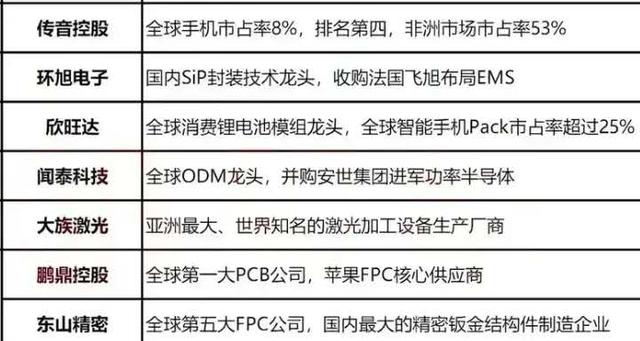 中国股市：中国股市：科技股消费电子细分龙头股大全