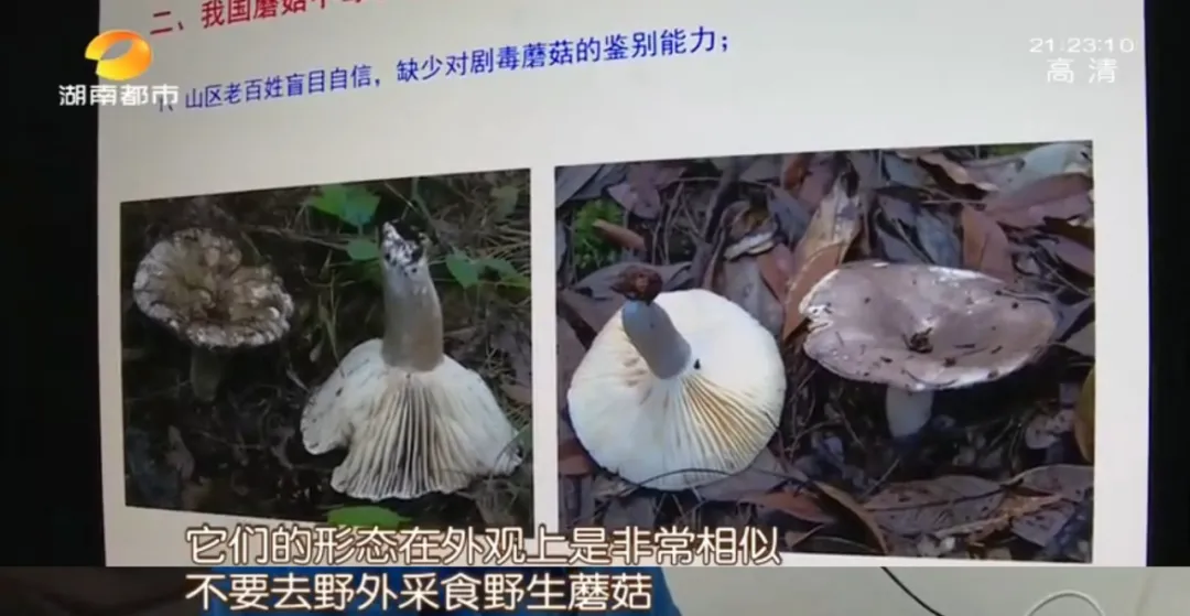 #额温枪#喝了这种家常汤，湖南一家六口被毒倒！清明祭祖千万别吃这东西！