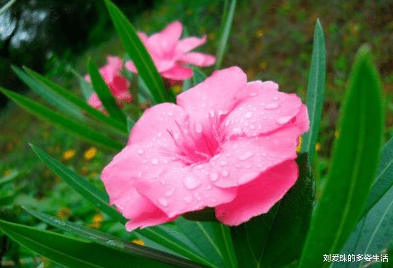 ■职场中最好不要说这样的话，不然领导小看，同事厌烦！