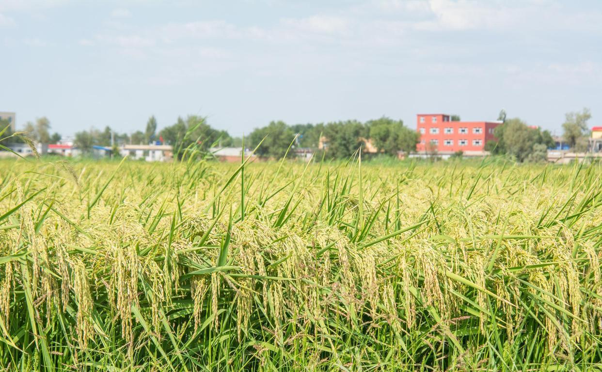 天蝎座|7月风雨同舟，为你等待，初心不改，再续桃花，余生不离的星座