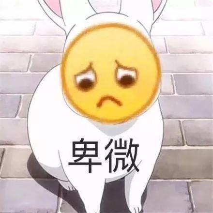 苹果|iphone12不过4000元？苹果避华为锋芒玩性价比，小米：莫搞我