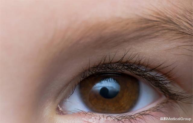 【黄芪】眼睛视力模糊究竟是怎么回事？