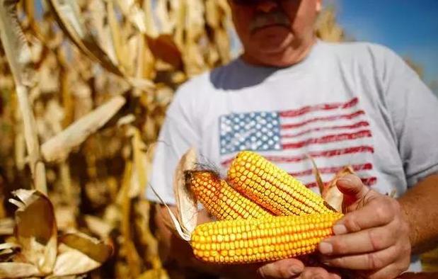 通胀|中国取消百万吨玉米订单，转向乌克兰进口，美国玉米该何去何从？