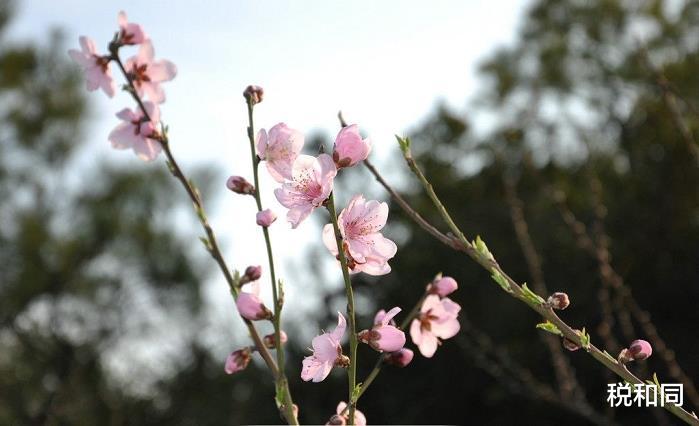 ##7月3号惹不起，官运亨通，穷运到头，让人高攀不上的属相