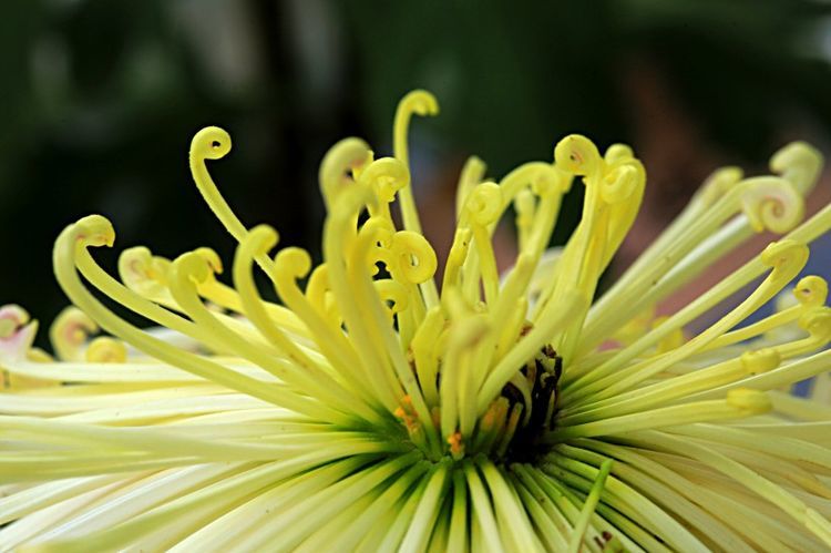 旧爱|8月招财神的3大生肖，吉星照耀好运到，可谓是福运连连啊！