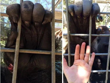 |30个你想象不到的庞然“大”物，又涨姿势了！