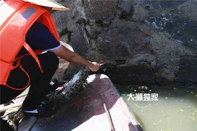 靖边：浙江多地已经出现！父亲给儿子捞鱼虾，后续令人头皮发麻