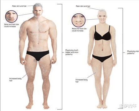 ▲人类仍在不停地进化, 那15000年后会长成什么样子?