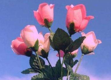 炉石传说|做好手头工作、职场顺利、事业高升的4个星座，面对困难勇往直前