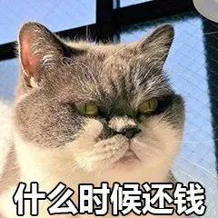 半岛晨报|男子筹备婚礼，女友一句话泼了他一盆冷水！