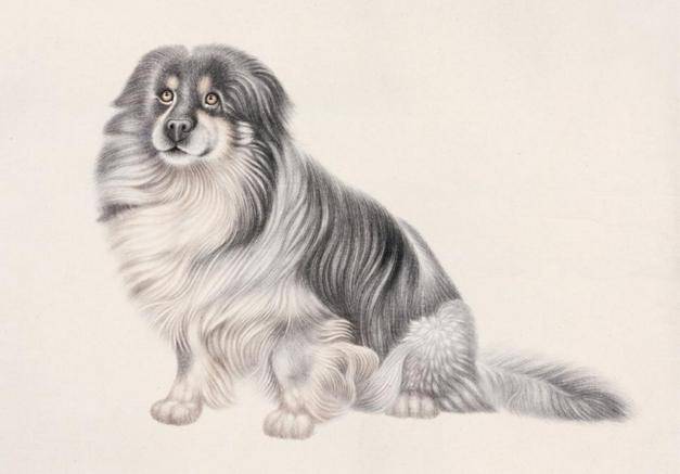 『摩羯座』人到中年，财运暴涨的3大生肖，有你吗？