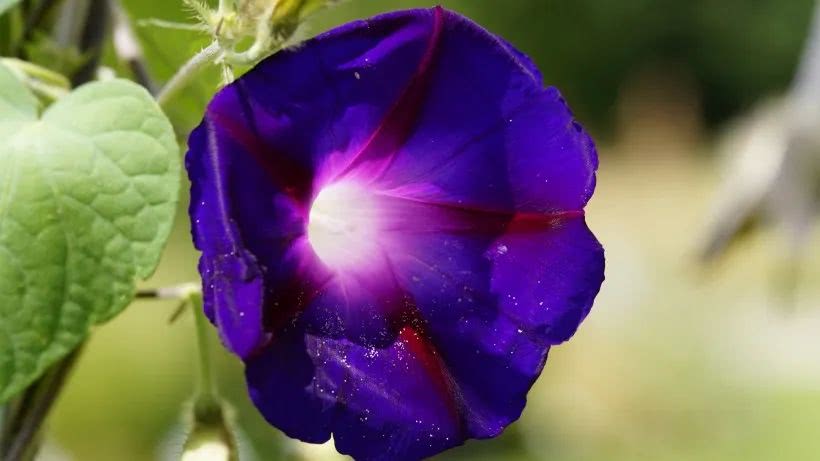 『运势』5月后两个月,贵人主动相助,财运转旺,有大笔收入进账的四属相