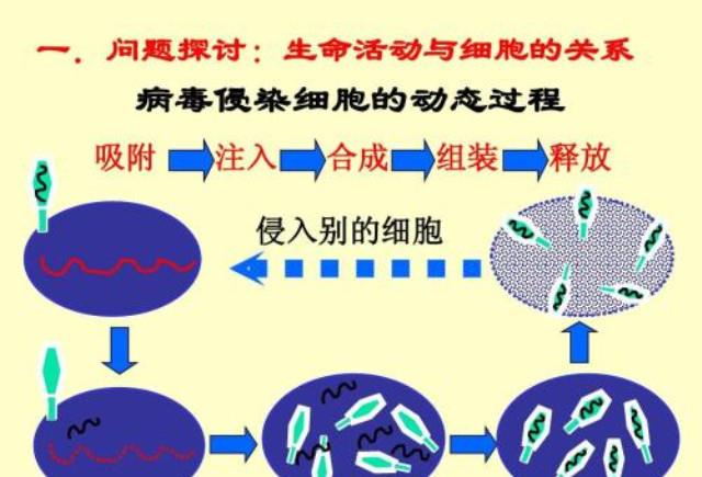 「暗能量」人类的生死之间，可能蕴含着宇宙的一个秘密，背后的真相让人警惕