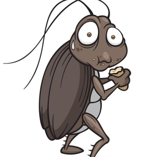 蟑螂|蟑螂的“克星”找到了，昆虫家：一种“昆虫”让蟑螂们闻风丧胆