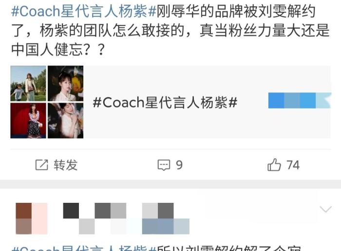 杨紫|顶级模特刘雯花1.6亿解约辱国代言，却被杨紫反手接下，一波操作猛如虎呀