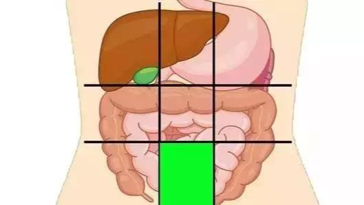 「疾病」一张腹部地图，告诉你腹部疼痛对应哪个器官，终身有益