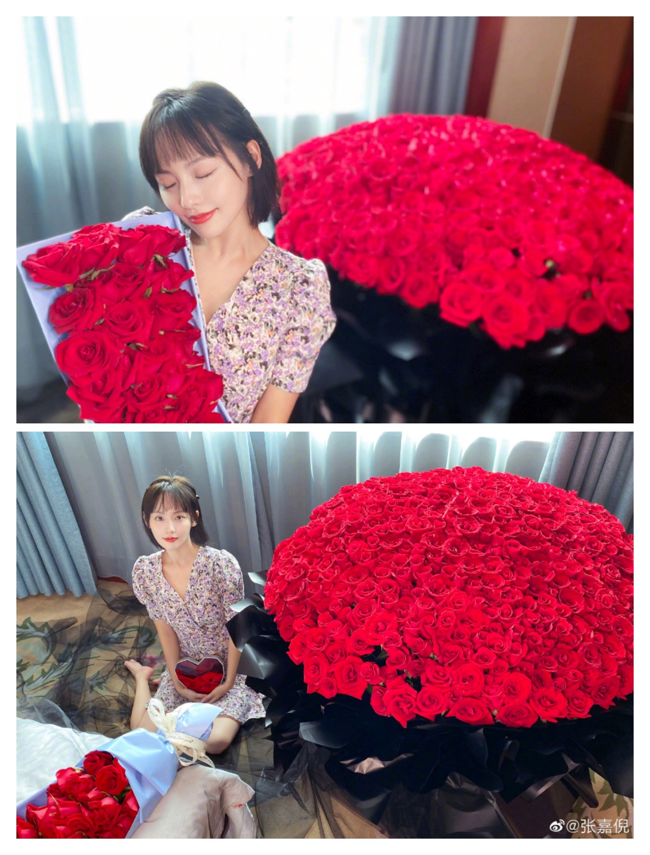 [张嘉倪]张嘉倪520承包了整个“玫瑰园”，而我们却混的还不如一个垃圾桶