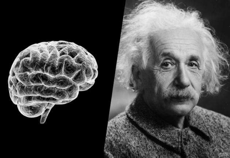 三体|是什么限制了人类?是人类的大脑仅被开发了10%?开发100%会怎么样