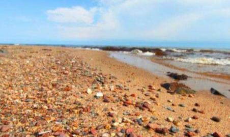 内蒙古|内蒙干涸湖底堆满“五彩石”，当地人不识货被人捡走，3年亏20亿