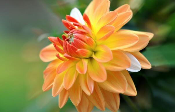 『生肖』6月18号出门遇贵人,事业有人帮,干啥都很顺的四大生肖!