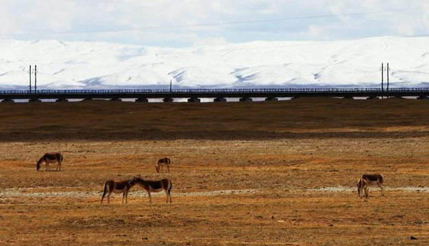 「」一个人长途自驾游，要从这三个方面做好充足的准备，基本上就可以保证安全！