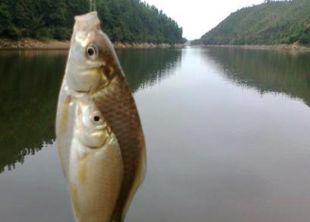 @用不完的蚯蚓,用这3种保存方法,下次钓鱼依然能用