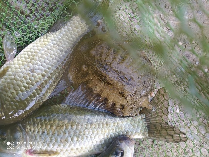 「」一入钓门深似海，从此贷友是路人