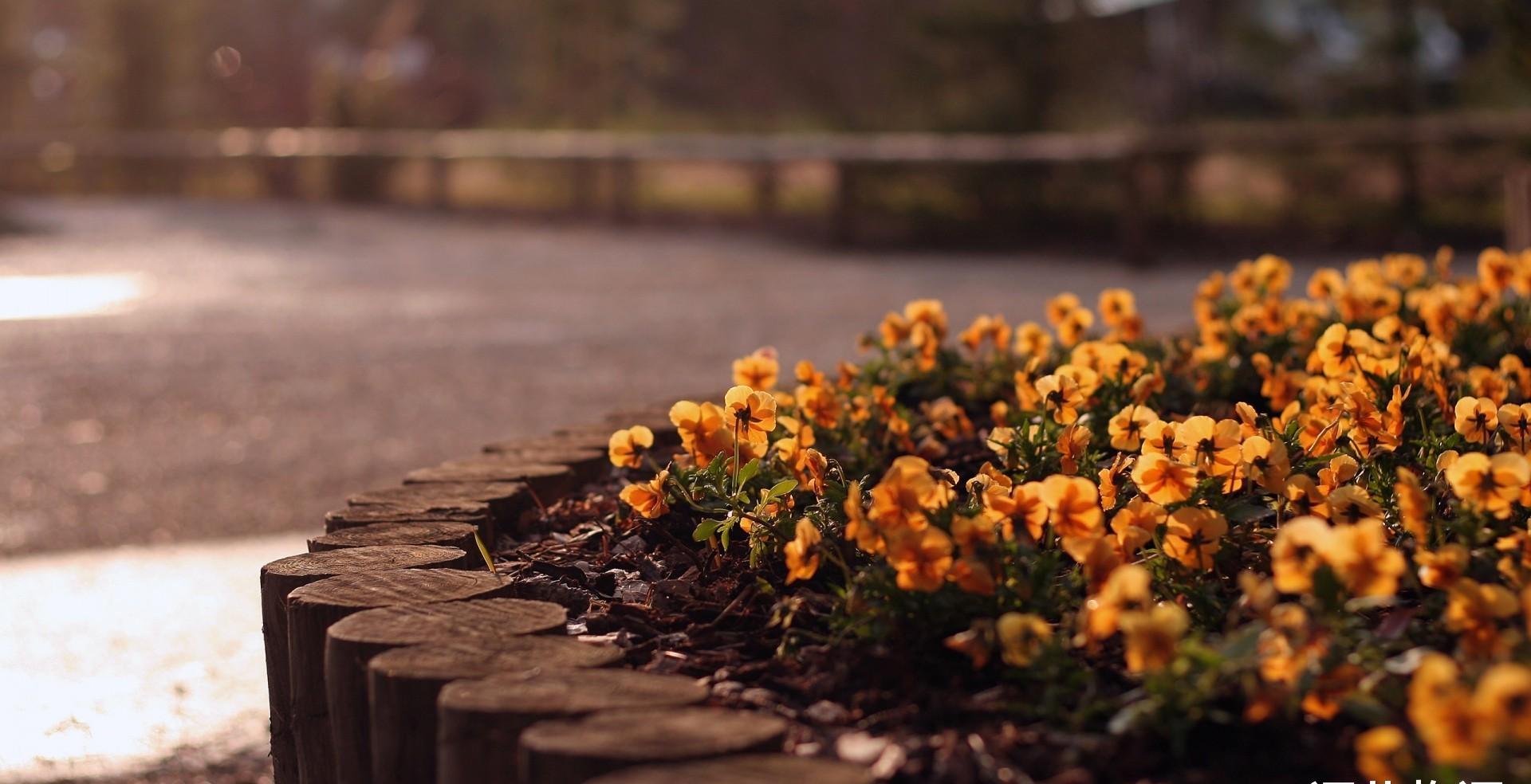 吉星▲这3个生肖进入6月中旬，有吉星照耀，如虎添翼，大放光彩！