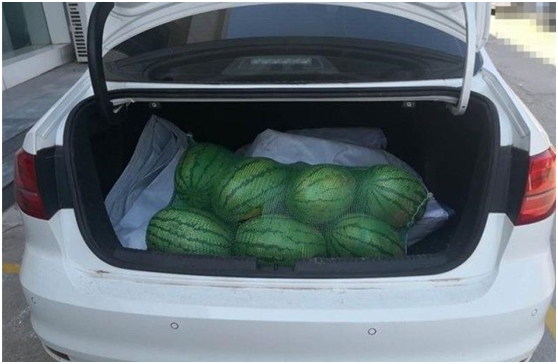 |后备箱“四不放”要牢记，尤其最后一种，一不小心汽车就报废了