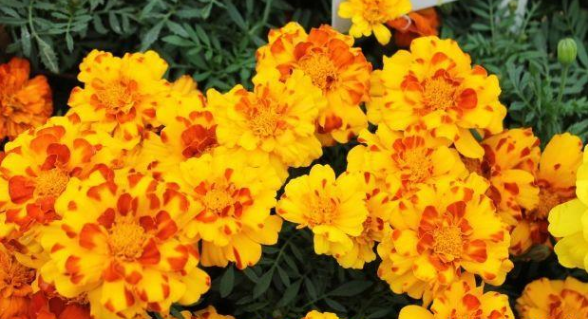 #双子座#5月初，相爱变成算计，心灰意冷，3星座眼泪打转，依然霸气离开