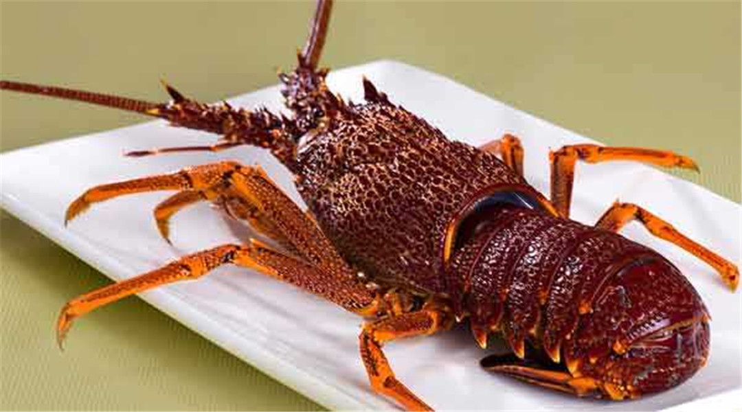 「澳大利亚」澳大利亚全面暴乱!“反华”游行愈演愈烈,荒谬逻辑逗笑中方……