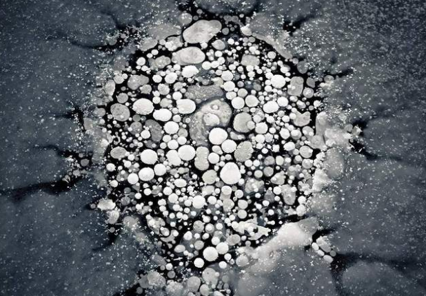 [科学家]?死亡4.6万年的尸体被发现！科学家感到担忧，将会带来这些危害