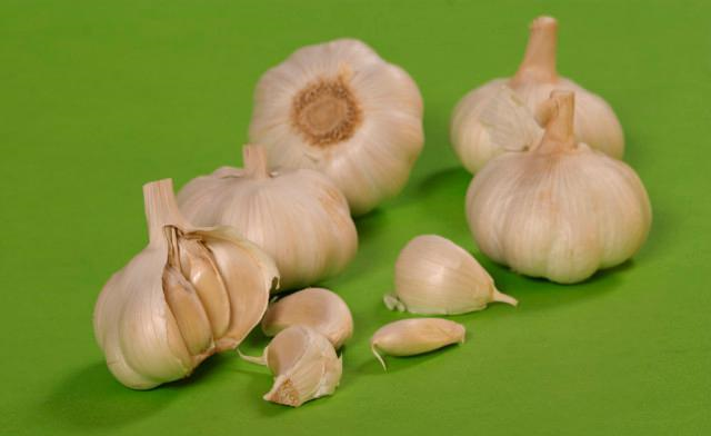 三菱欧蓝德|大蒜辛辣、异味重，鱼不吃？揭密“大蒜钓鱼”的饵料真相