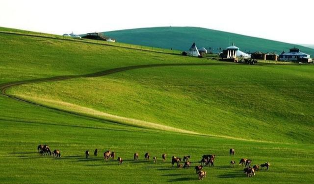 @打算自驾游去大草原，需要做哪些准备？