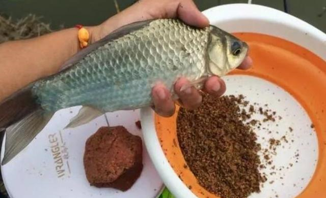 【】钓了三十年鱼，唯独这诱鱼方式才最有效，夏天一用倍儿棒