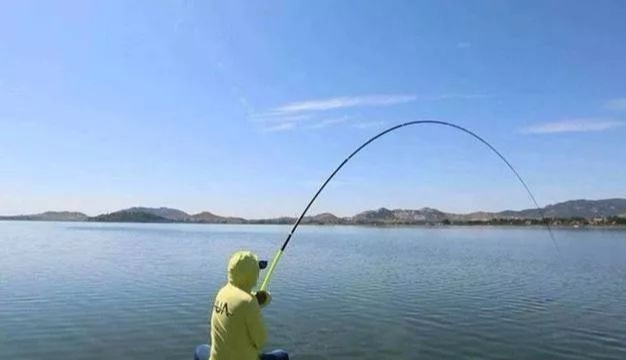 []夏天野钓鲤鱼技巧全攻略！值得收藏！——盛世三渔
