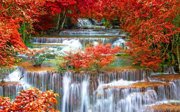 运势■6月1号开门见喜，迎财神接富贵，添丁添福添鸿运，大富大贵3生肖