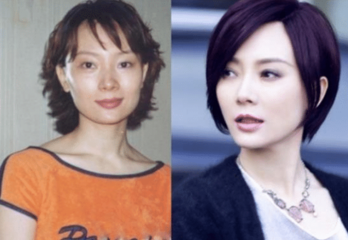 整容最成功的女明星 明明不知道動過多少刀子 但卻毫無痕迹 看新聞