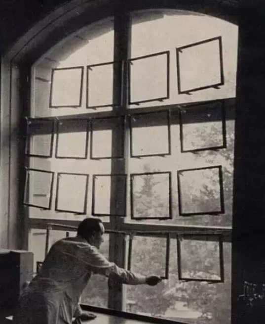 蜘蛛■吸毒有多可怕？看看”嗑药“的蜘蛛织的网就知道了