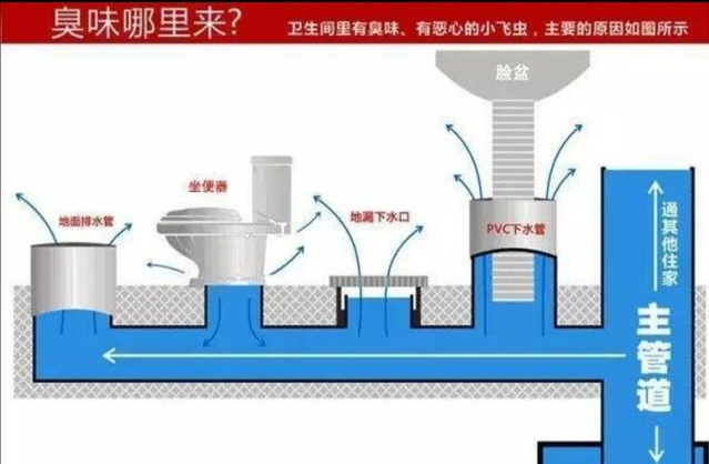 【集成吊顶】4种方法解决卫生间臭味，30秒就成恢复清新空气，第3种尤其管用！