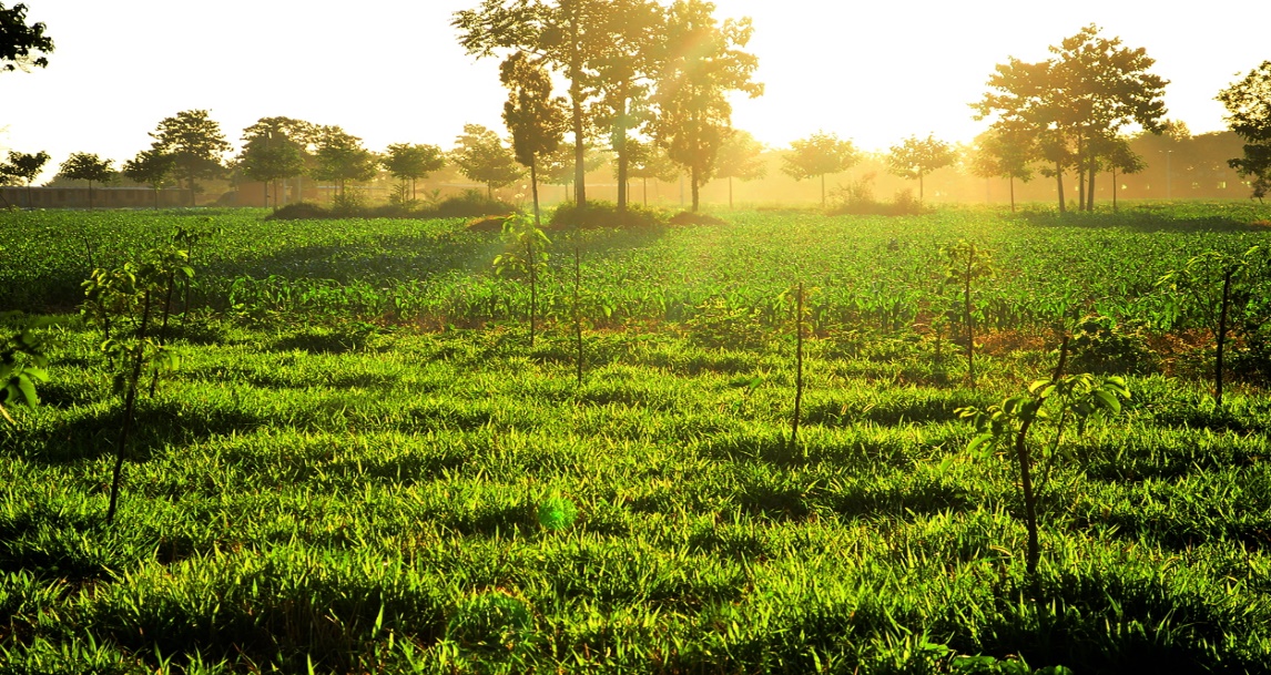 高血压|大部分人都不知道，高血压千万不能吃它，会越吃越严重