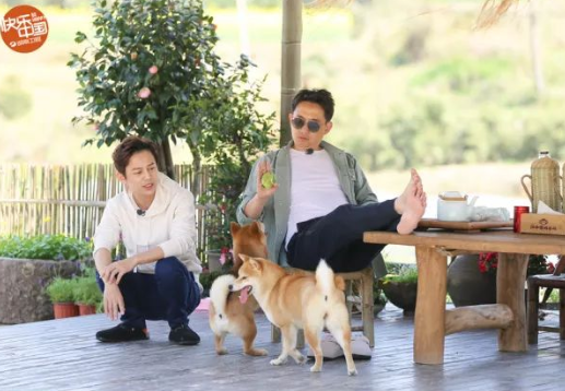 黄磊|《向往》工作人员晚上住哪？镜头暴露真实情况，真令人心酸