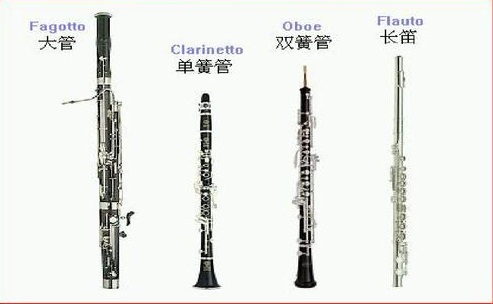 【】交响乐队的四组乐器组到底谁更重要呢？谁在乐队里的分量最大，地位最高呢？