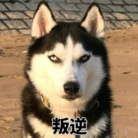 【软件】手机不要随便允许应用权限,尤其是这3个,别让手机变得危险